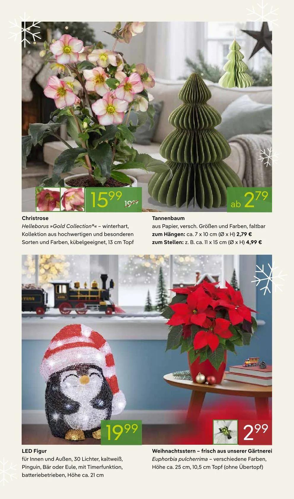 Dodenhof Prospekte von 3. November bis 8. November 2025 - Prospekt seite 5