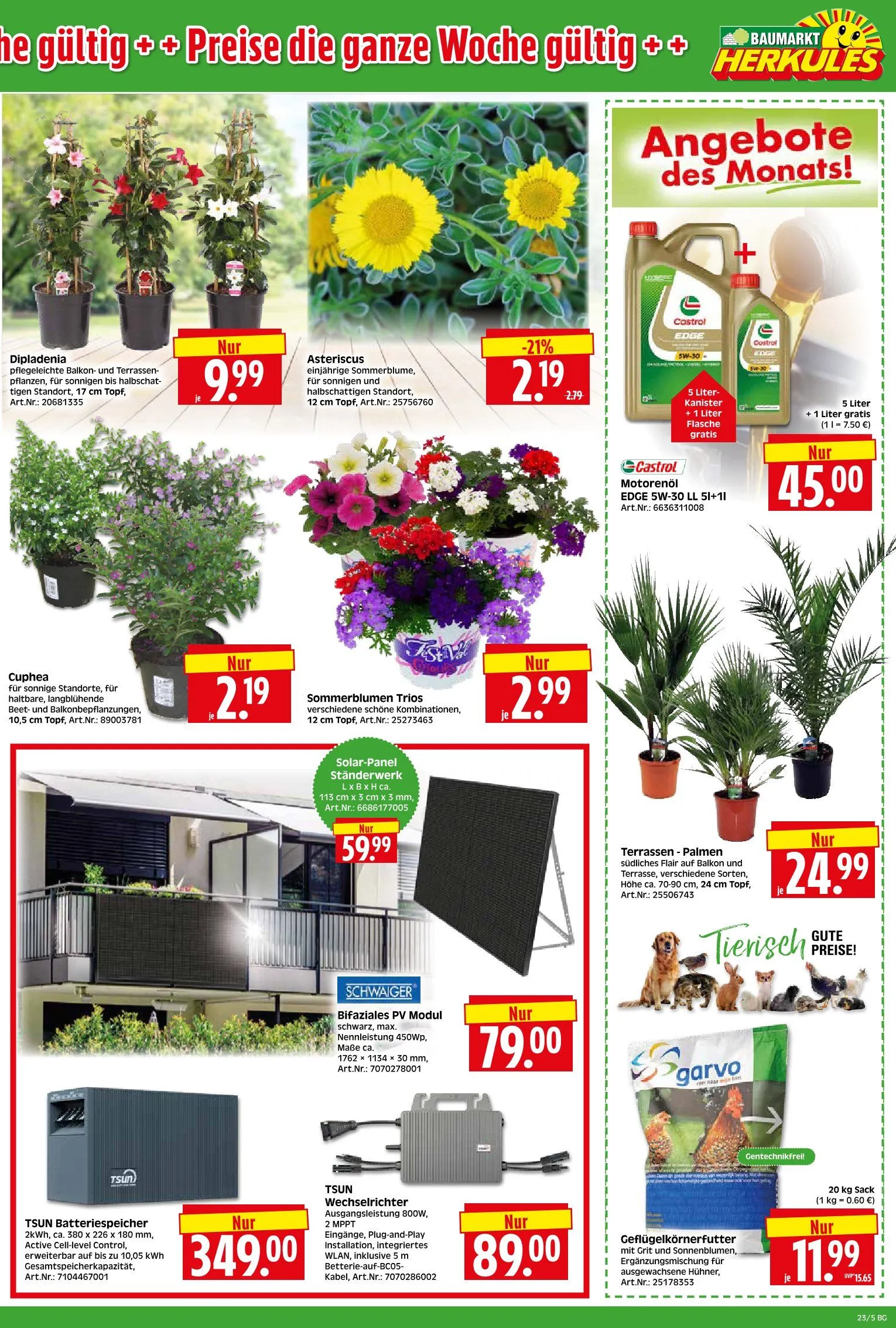 Herkules Baumarkt Angebote von 1. Juni bis 6. Juni 2026 - Prospekt seite 5