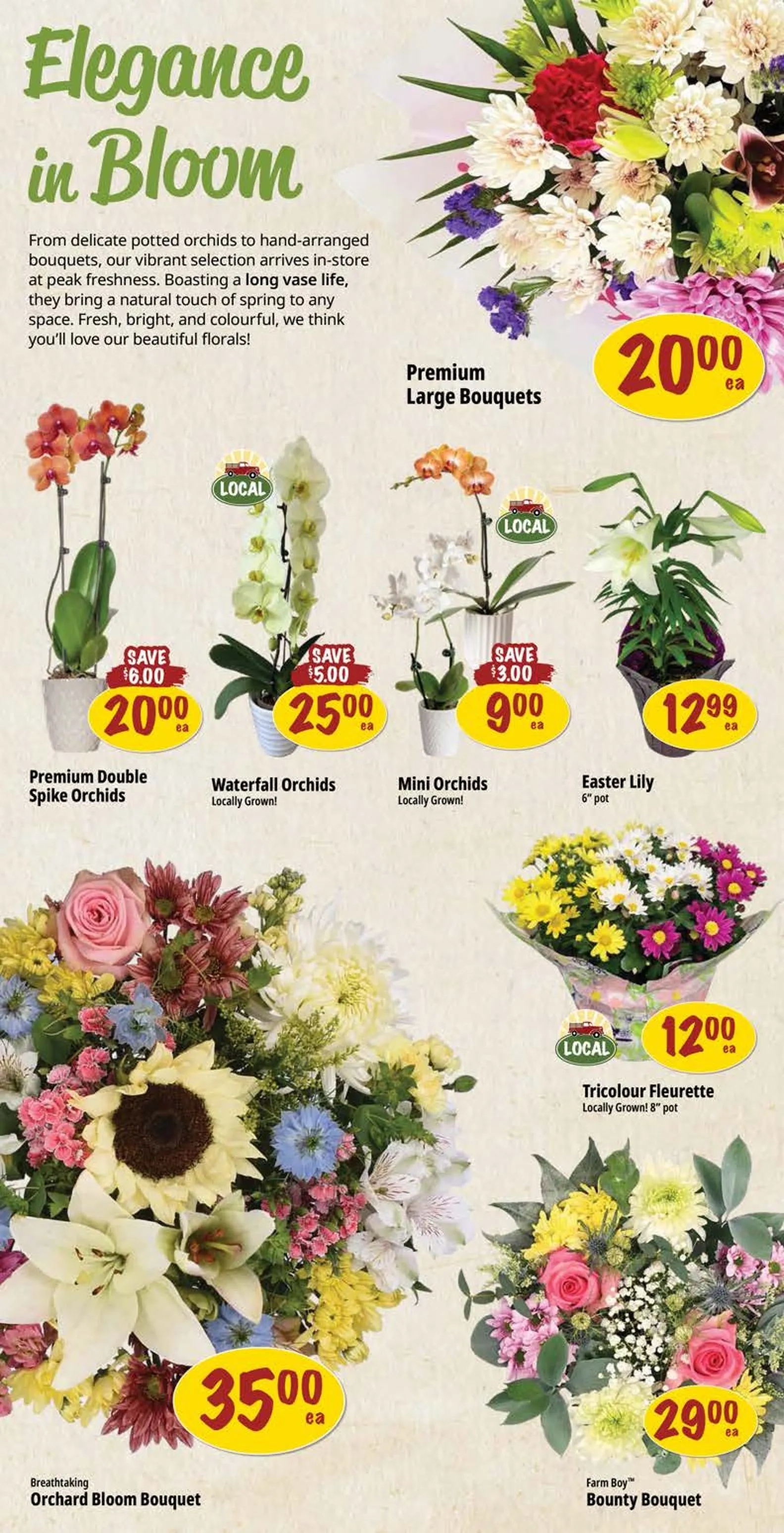 Farm Boy Sales from April 2 to April 8 2026 - flyer page 5
