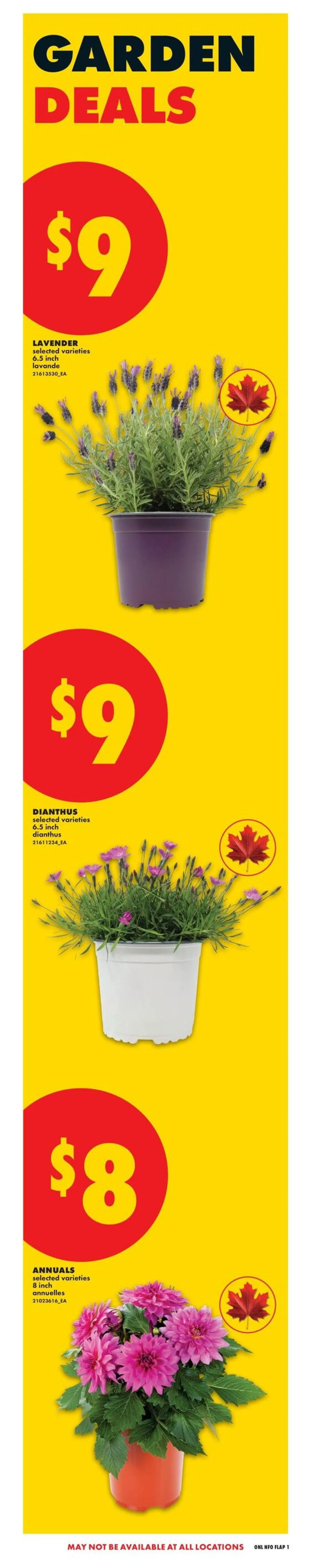 No Frills Sales from May 4 to May 9 2026 - flyer page 5