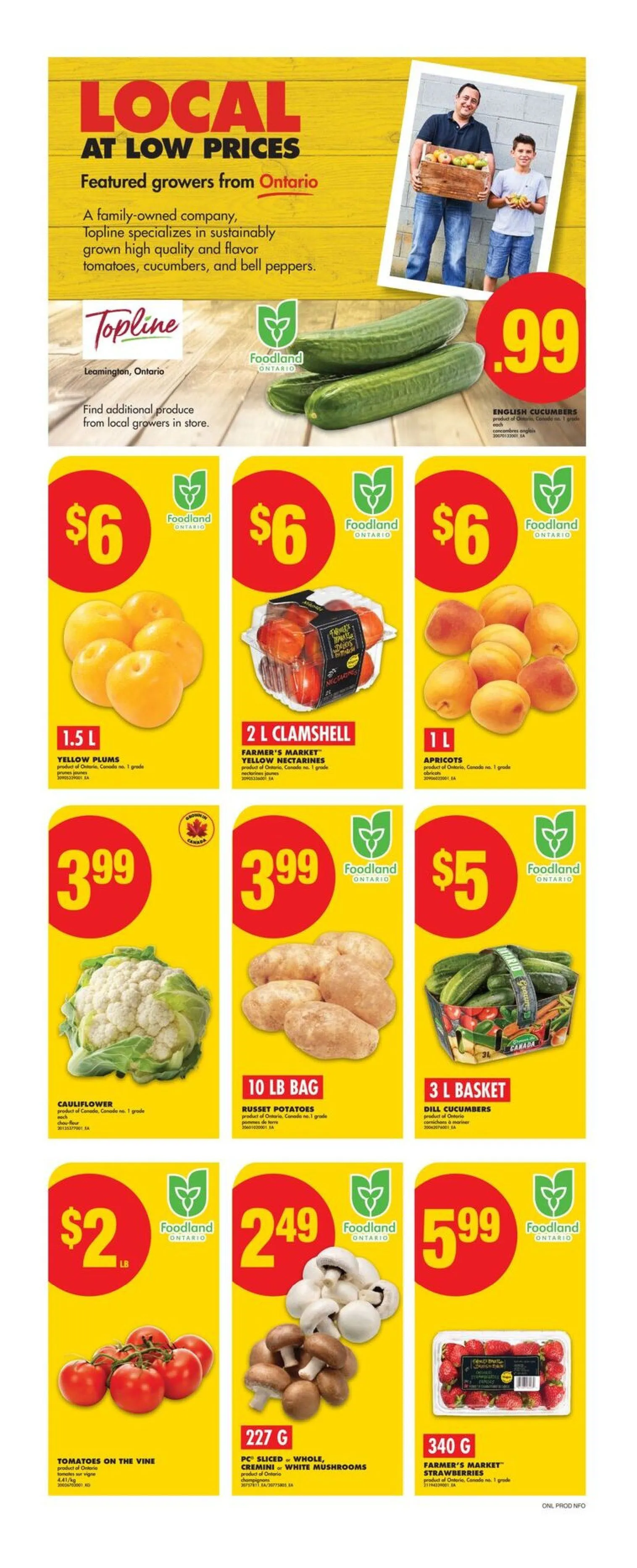 No Frills flyers from July 24 to July 30 2025 - flyer page 5