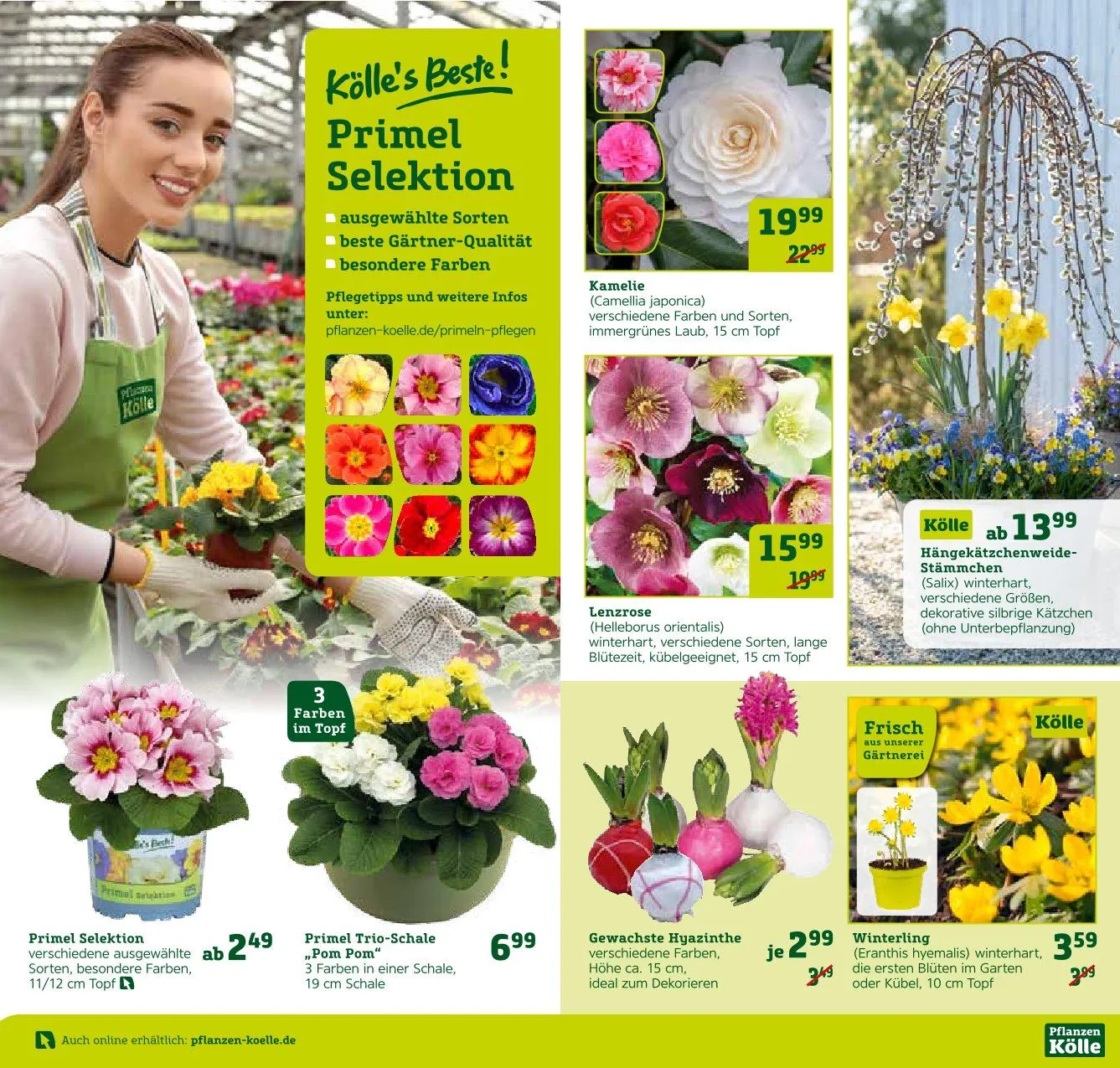 DE - Pflanzen-Kölle von 13. Februar bis 16. Februar 2025 - Prospekt seite 5