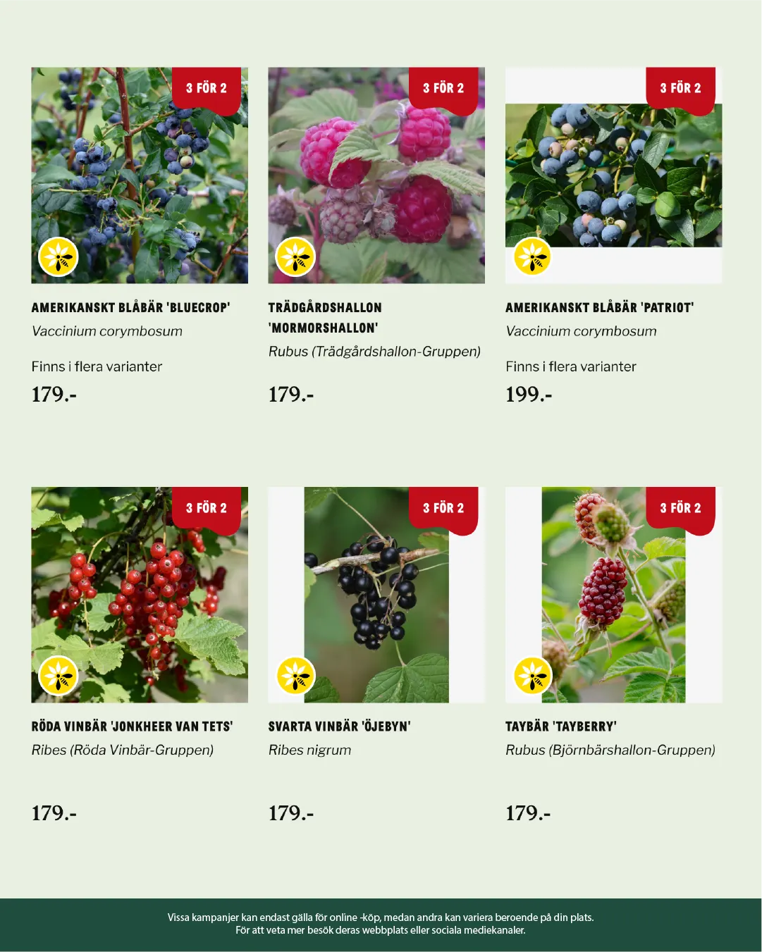  Blomsterlandet från 27 januari till 10 februari 2026 - Reklamblad sidor 4