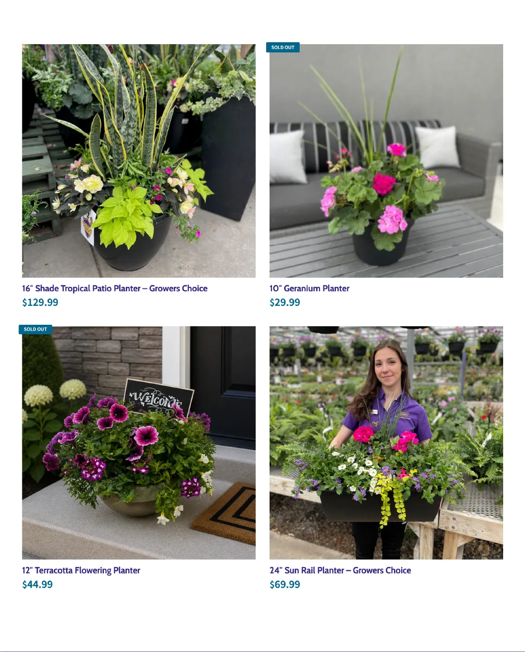 Terra Green Houses Sales from May 28 to June 11 2026 - flyer page 4