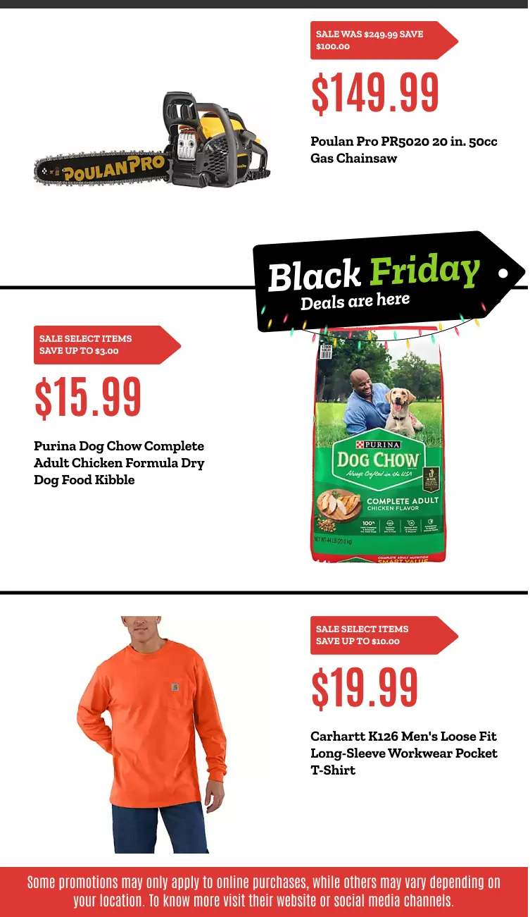 Weekly ad BLACK FRIDAY DEALS from November 21 to November 30 2025 - Page 4