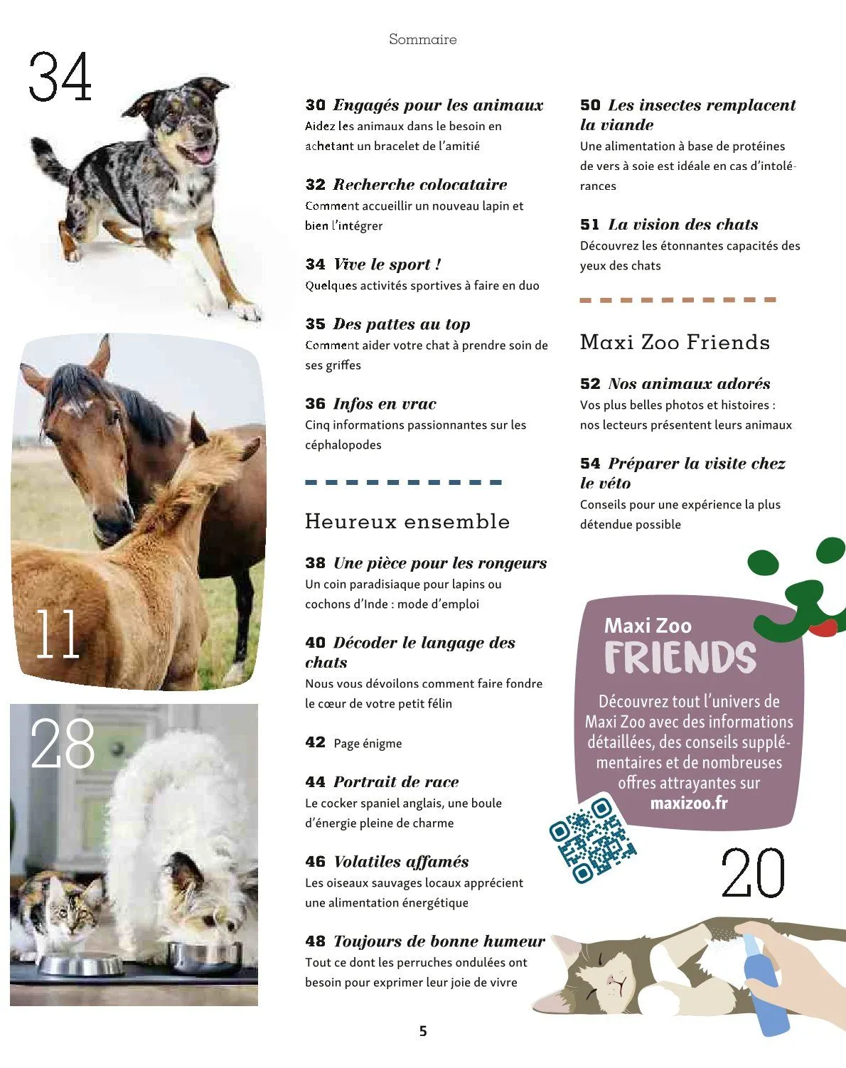 Maxi ZOO Catalogue du 23 décembre au 31 décembre 2025 - Catalogue page 5