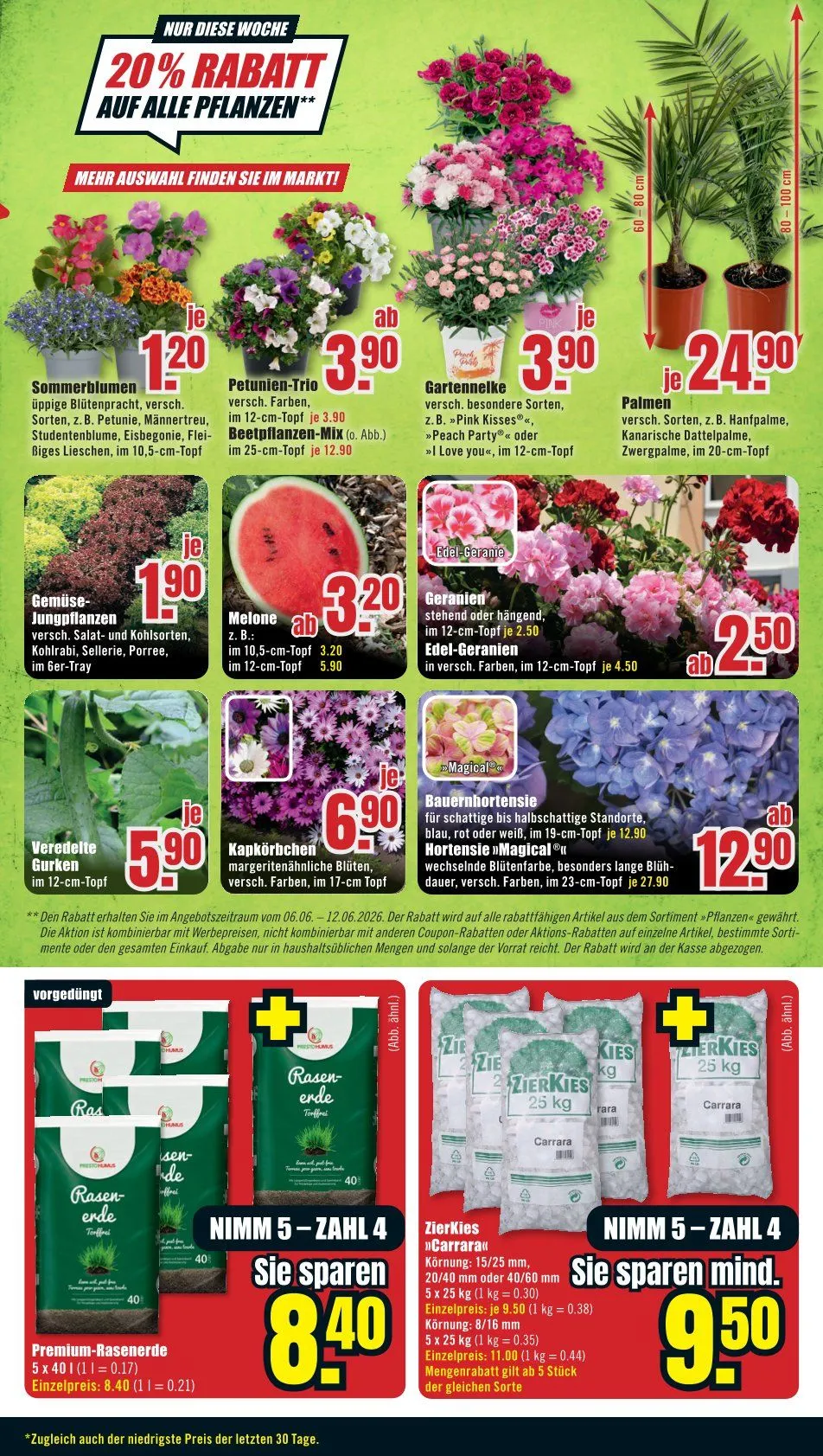B1 Discount Baumarkt Angebote von 6. Juni bis 12. Juni 2026 - Prospekt seite 5