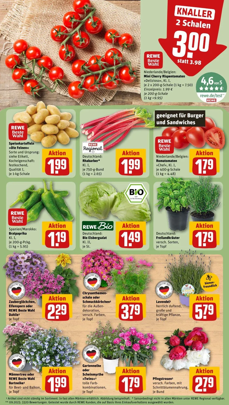  REWE Prospekte von 1. Juni bis 7. Juni 2026 - Prospekt seite 5