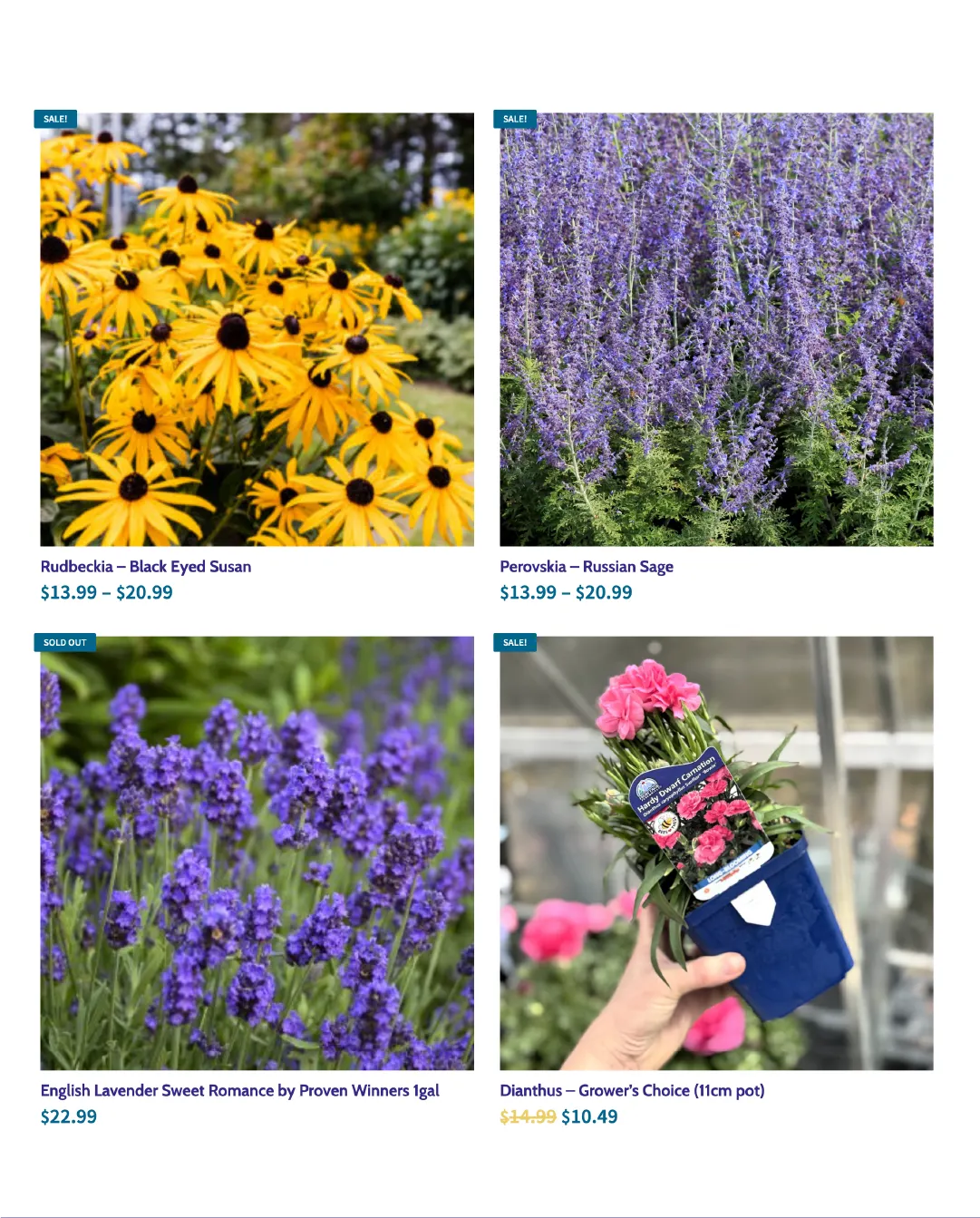 Terra Green Houses Sales from June 25 to July 8 2026 - flyer page 4