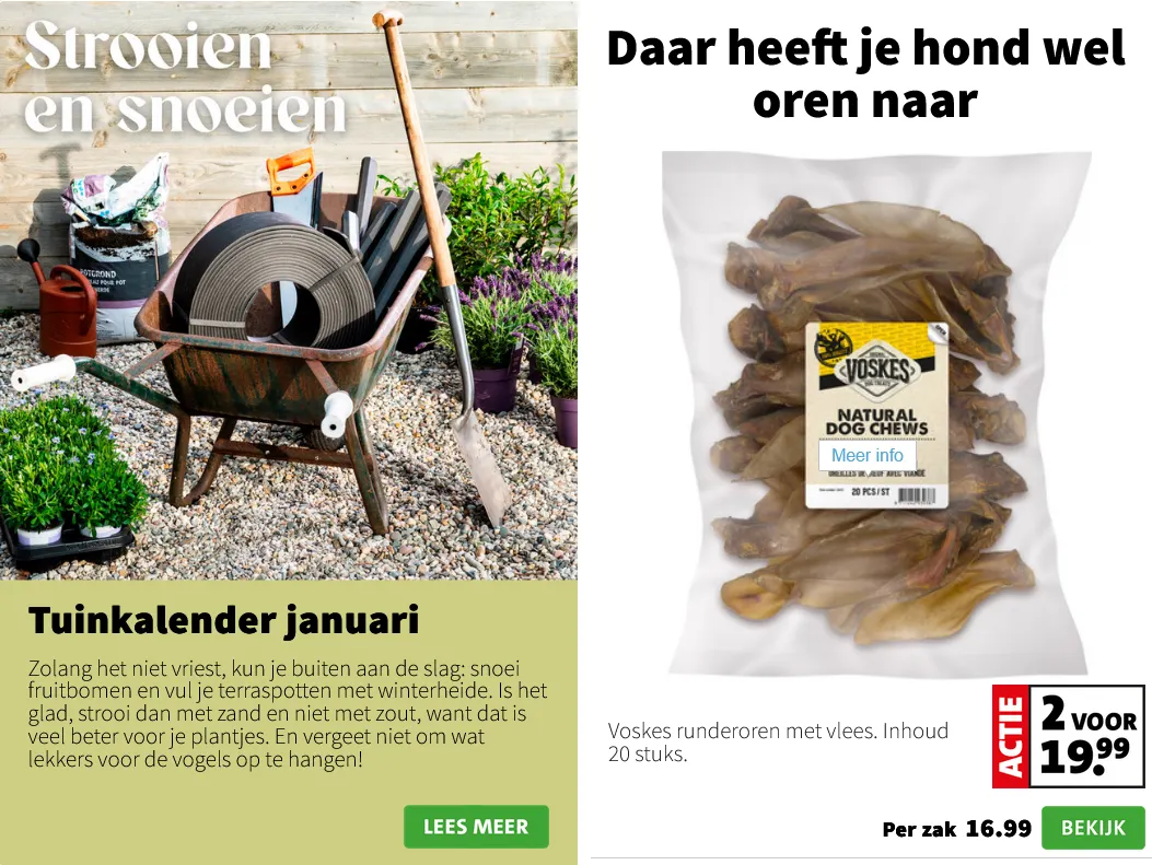 Intratuin folders van 12 januari tot 18 januari 2026 - Folder pagina 5