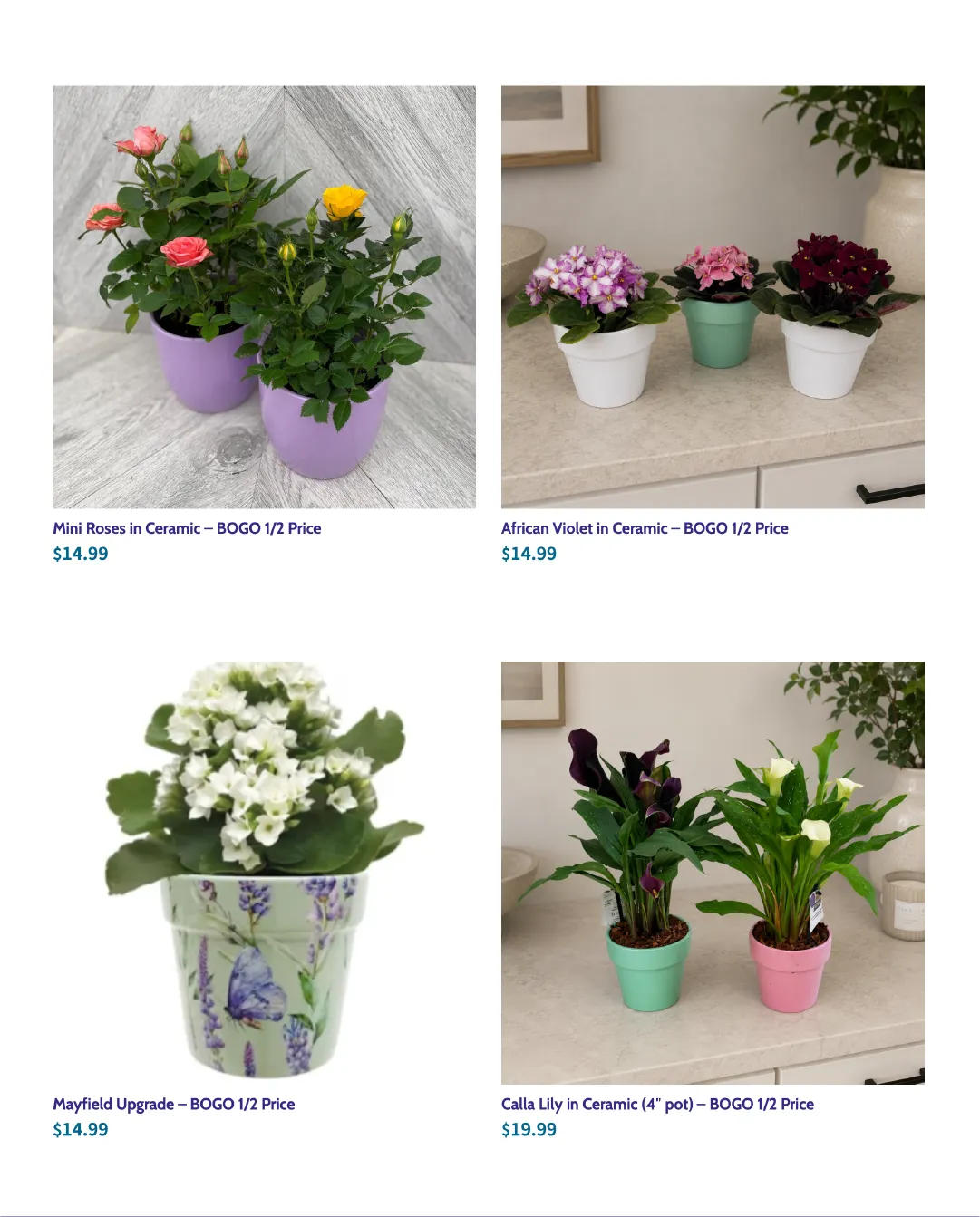 Terra Green Houses Sales from June 12 to June 26 2026 - flyer page 4