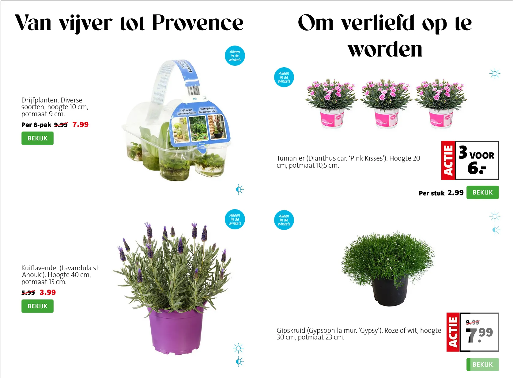 Intratuin folders van 25 mei tot 31 mei 2026 - Folder pagina 5