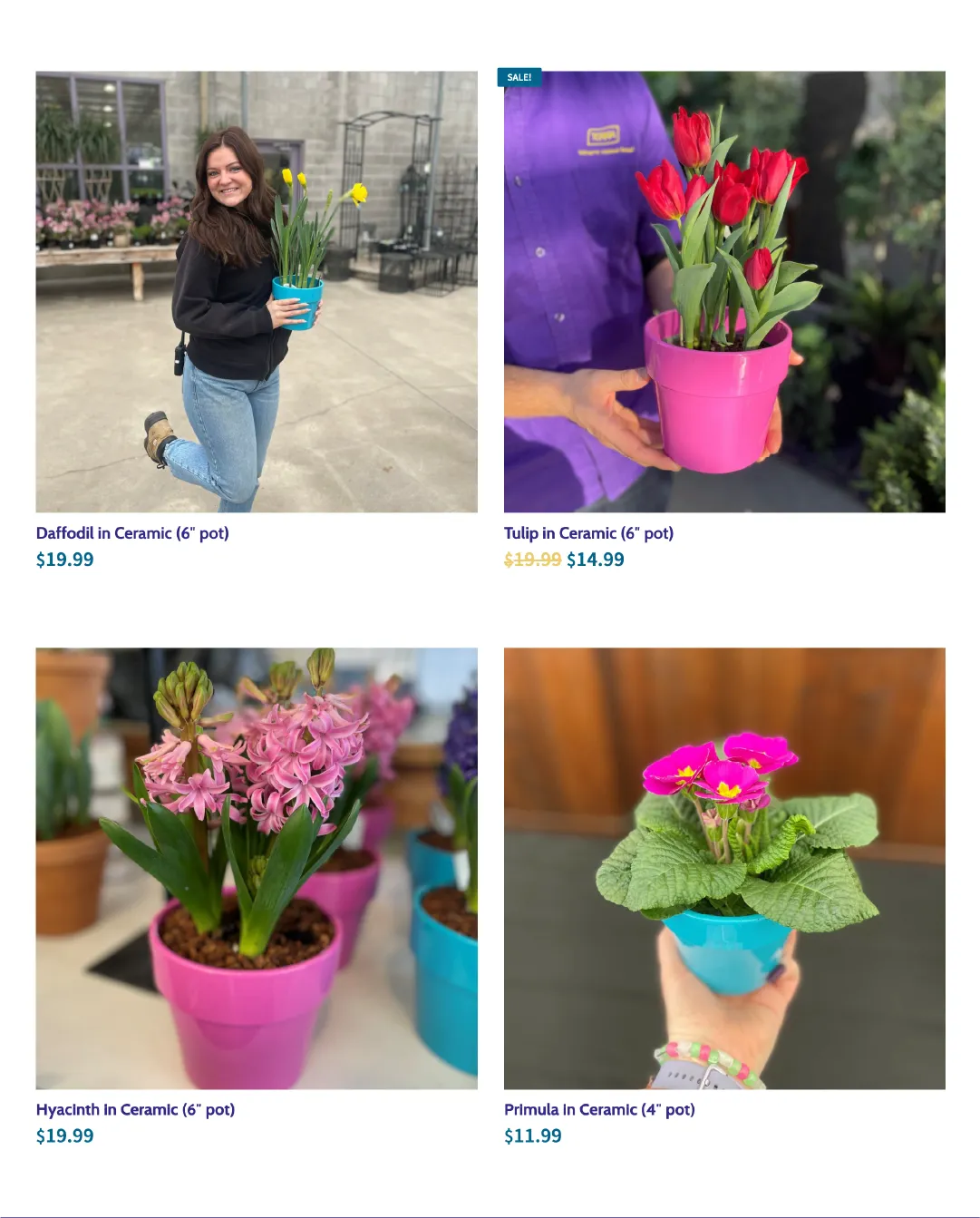 Terra Green Houses from February 10 to February 24 2026 - flyer page 4