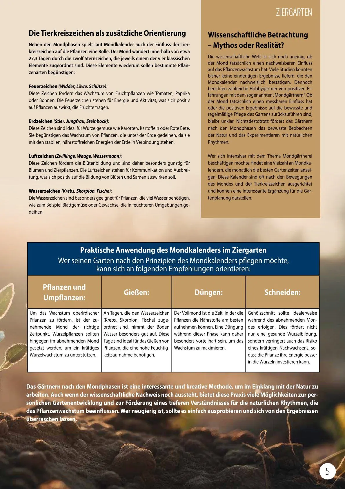 Kiebitzmarkt Magazine von 21. Februar bis 15. Februar 2025 - Prospekt seite 5