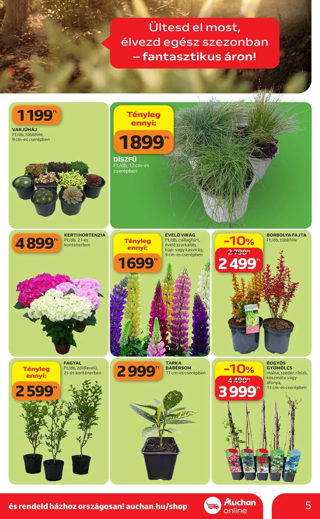 Katalógus  Auchan április 16.-tól május 14.-ig 2026. - Oldal 5