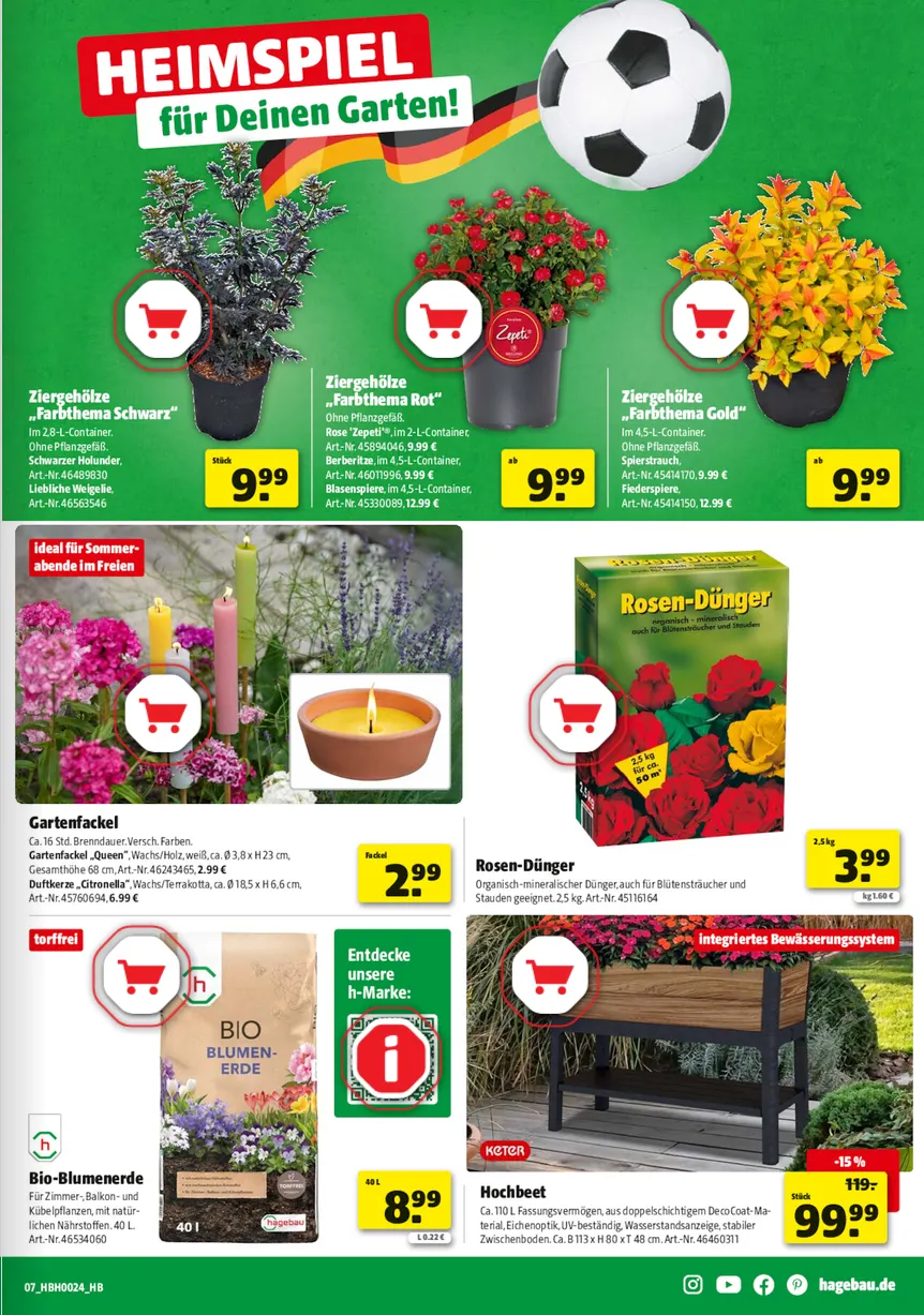  Hagebaumarkt Angebote von 17. Juni bis 20. Juni 2026 - Prospekt seite 5