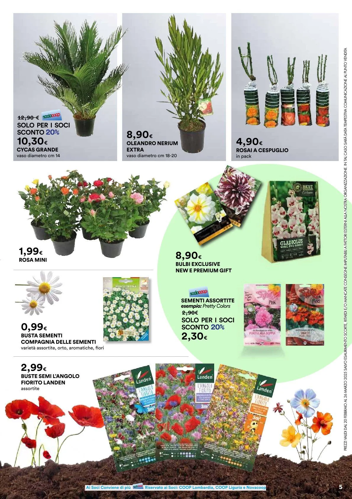 Ipercoop Volantino da 20 febbraio a 26 marzo di 2025 - Pagina del volantino 5
