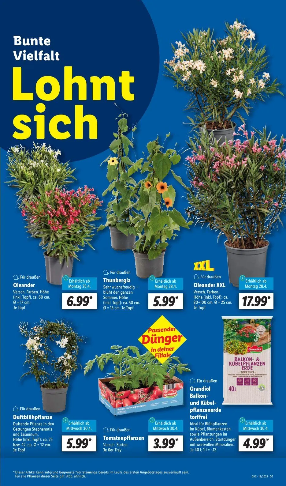 Lidl Prospekt von 28. April bis 3. Mai 2025 - Prospekt seite 5