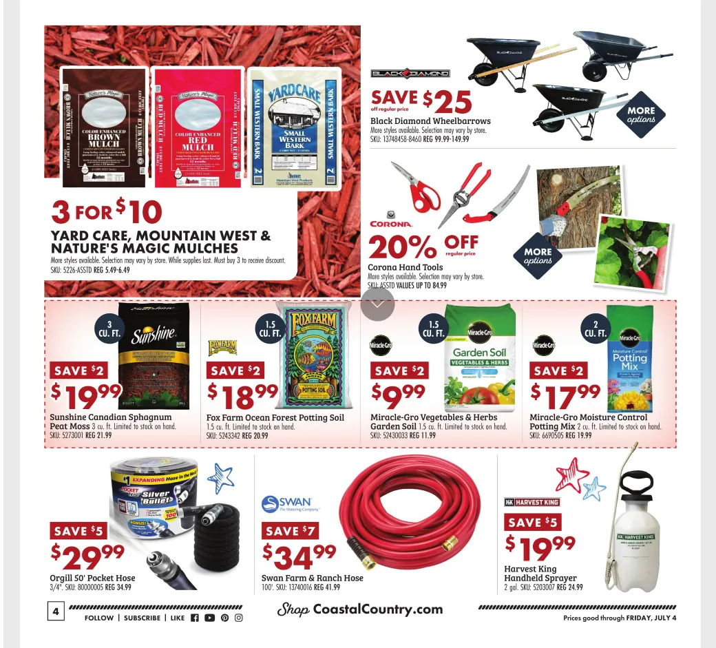 Weekly ad Weekly Ad from June 25 to July 4 2025 - Page 4