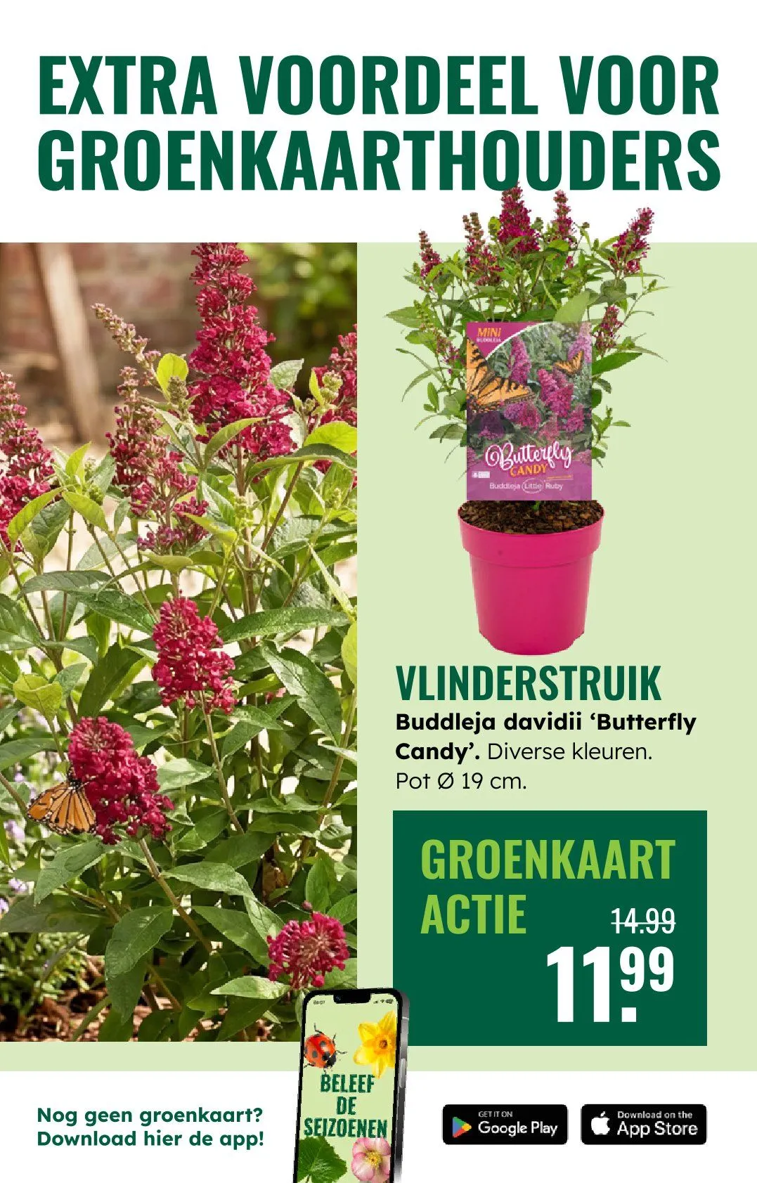 GroenRijk folders van 30 juli tot 5 augustus 2026 - Folder pagina 5