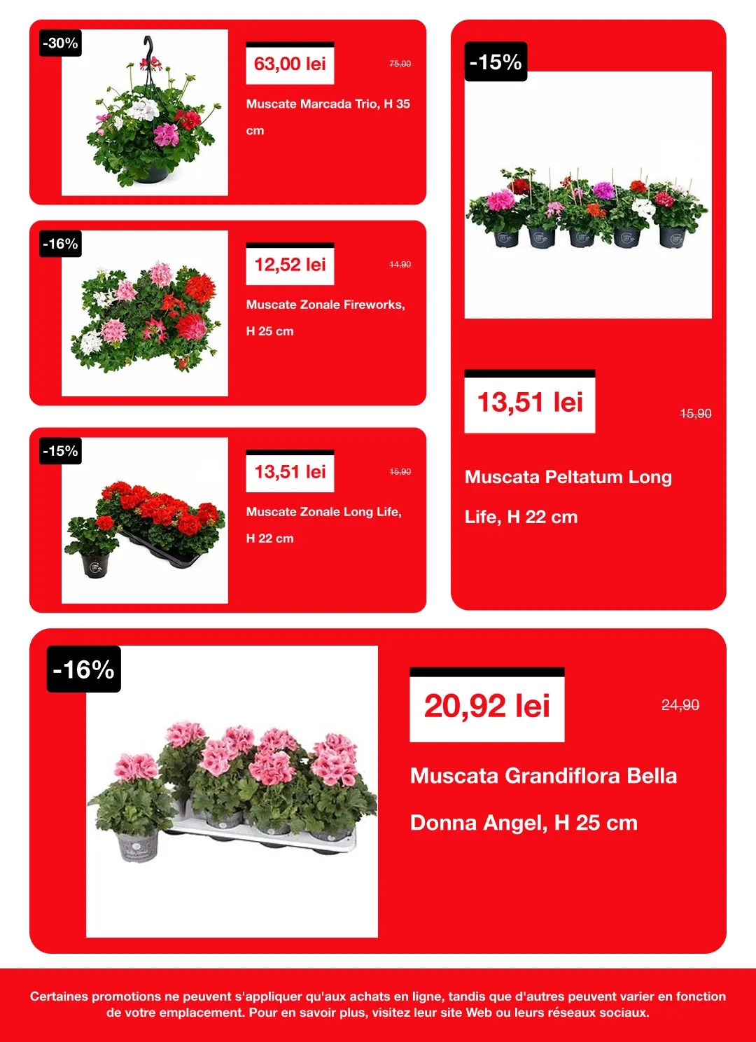 Catalog  Brico Depot de la 16 aprilie până la 6 mai 2026 - Revista Pagina 5