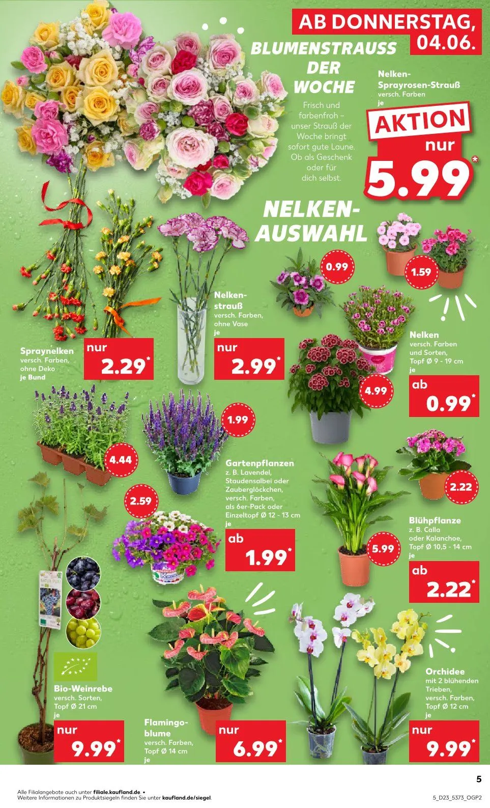 Online-Prospekte von 4. Juni bis 10. Juni 2026 - Prospekt seite 5