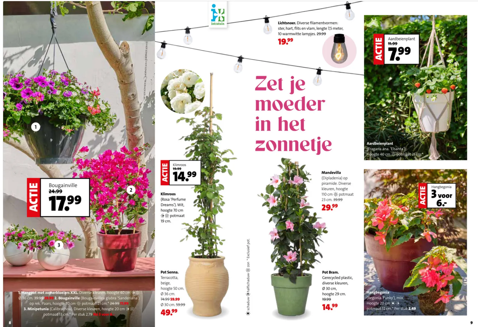 Intratuin folders van 4 mei tot 10 mei 2026 - Folder pagina 5