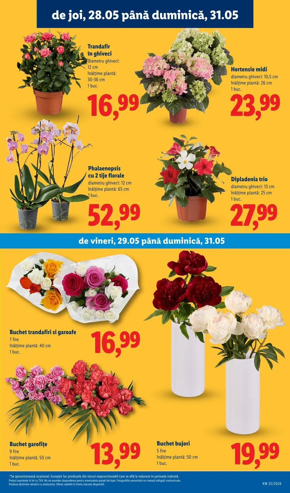 Catalog Lidl catalog de la 25 mai până la 31 mai 2026 - Revista Pagina 51
