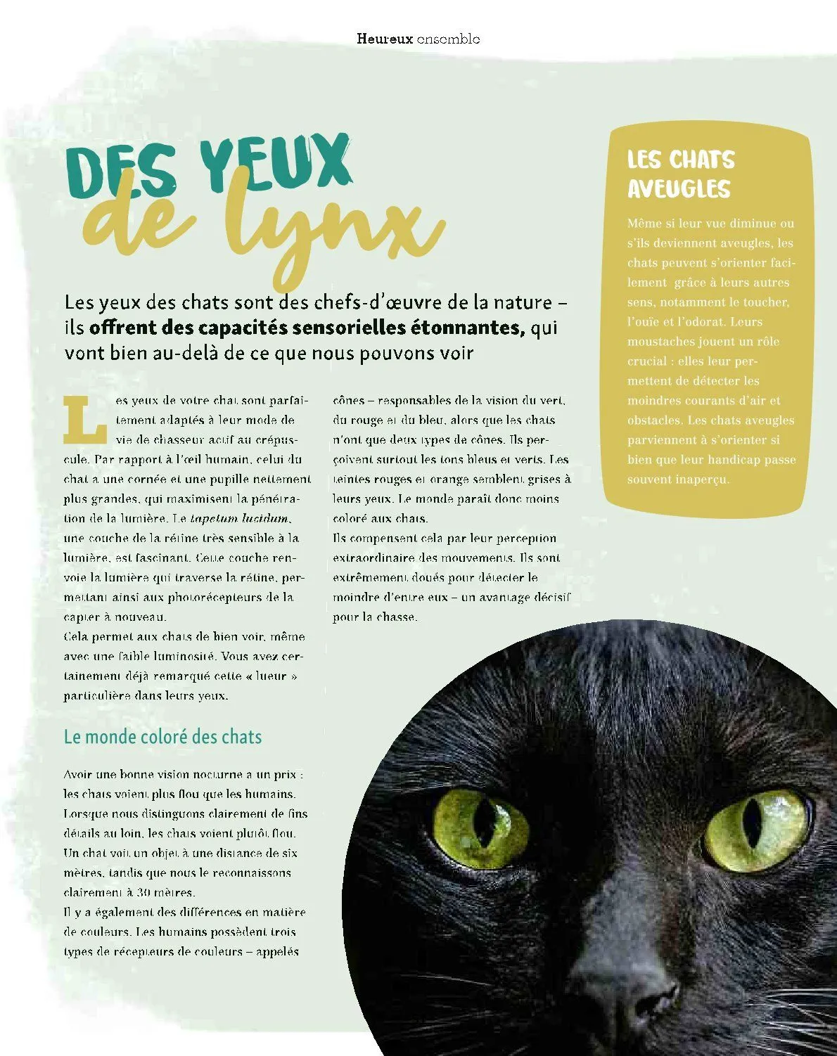 Maxi ZOO Catalogue du 23 décembre au 31 décembre 2025 - Catalogue page 51