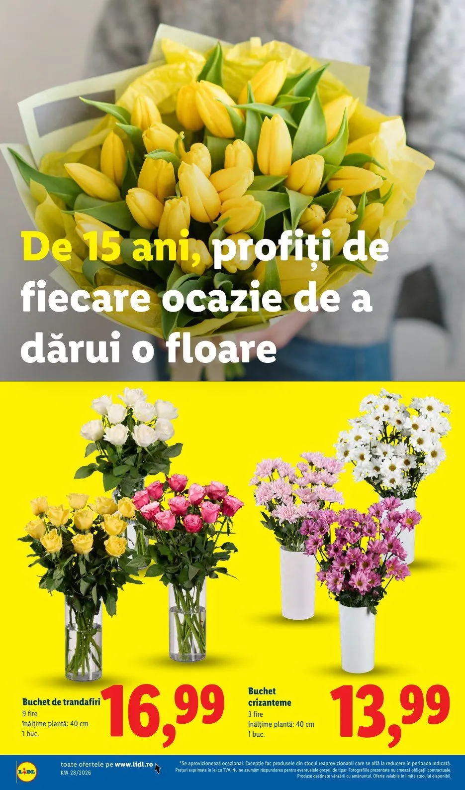 Catalog Oferte de neratat Lidl de la 6 iulie până la 12 iulie 2026 - Revista Pagina 52