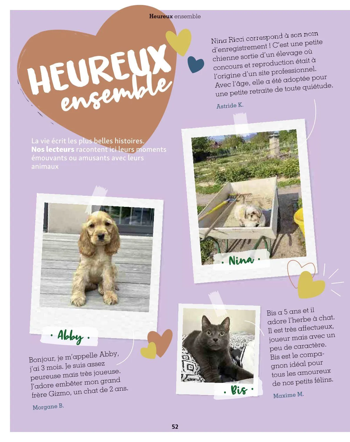 Maxi ZOO Catalogue du 23 décembre au 31 décembre 2025 - Catalogue page 52