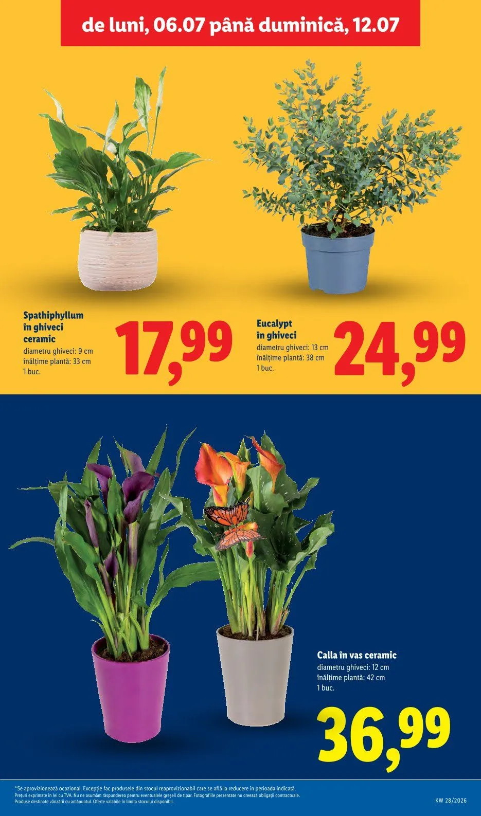 Catalog Oferte de neratat Lidl de la 6 iulie până la 12 iulie 2026 - Revista Pagina 53