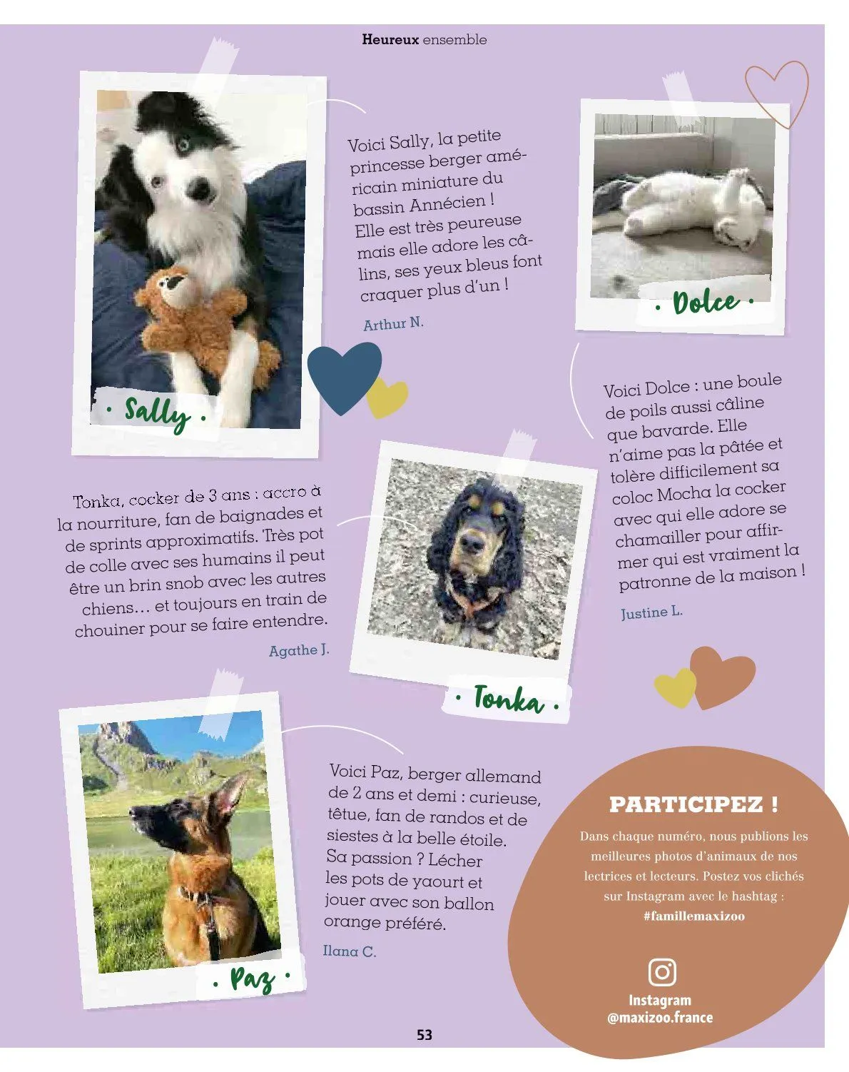 Maxi ZOO Catalogue du 23 décembre au 31 décembre 2025 - Catalogue page 53