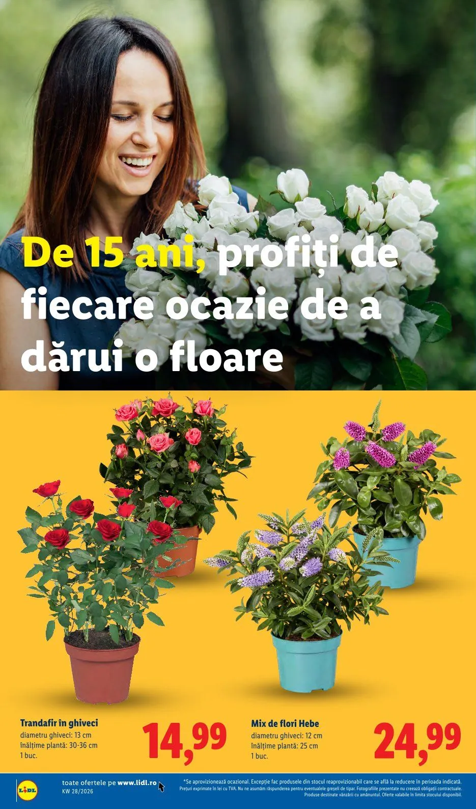 Catalog Oferte de neratat Lidl de la 6 iulie până la 12 iulie 2026 - Revista Pagina 54