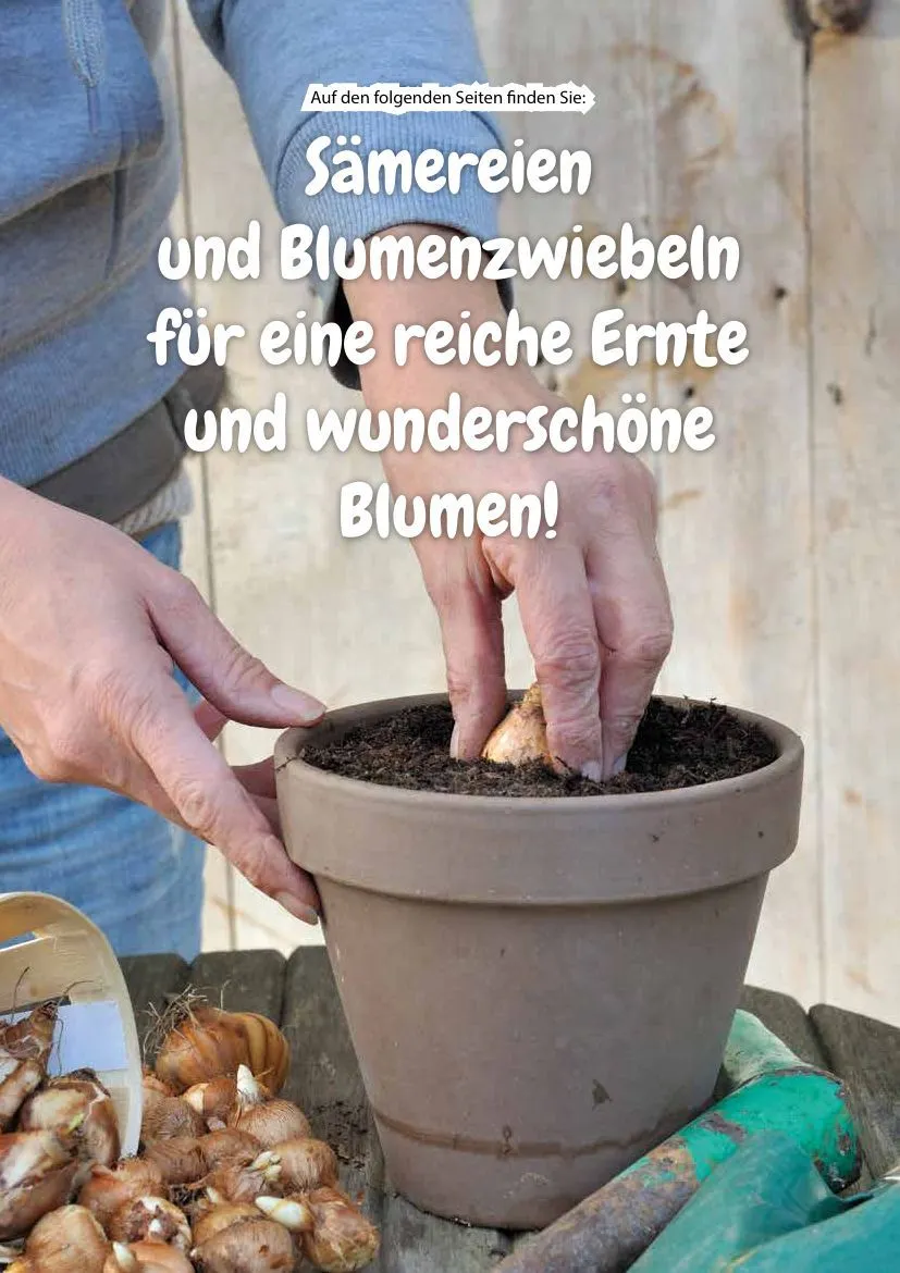 KIEBITZMARKT Angebote von 15. Mai bis 21. Mai 2026 - Prospekt seite 53