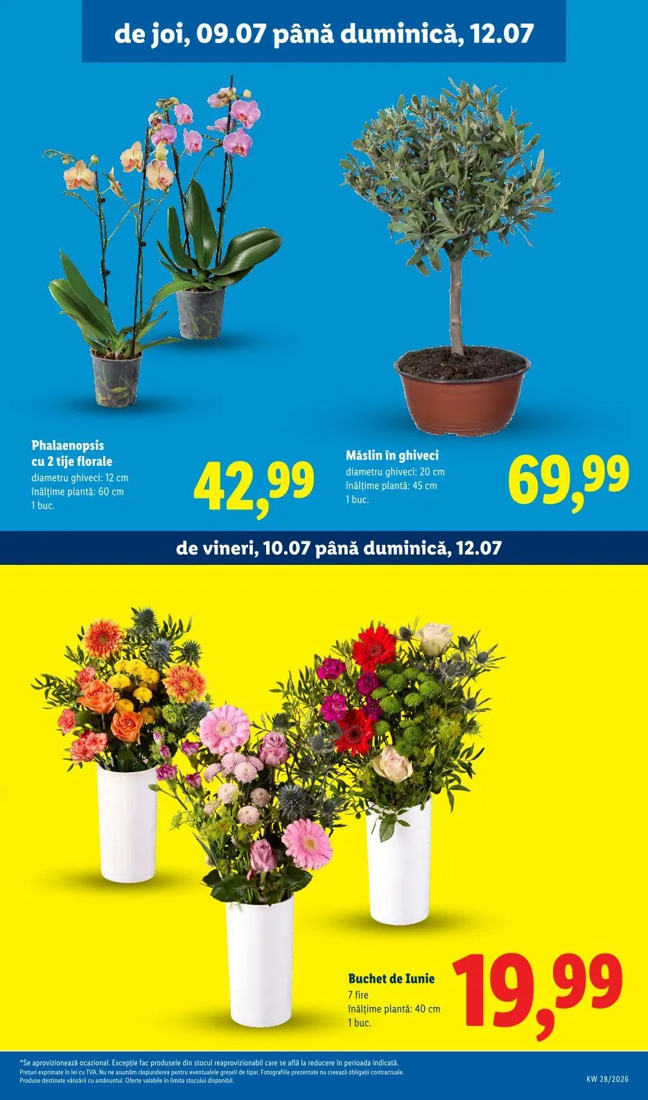 Catalog Oferte de neratat Lidl de la 6 iulie până la 12 iulie 2026 - Revista Pagina 55