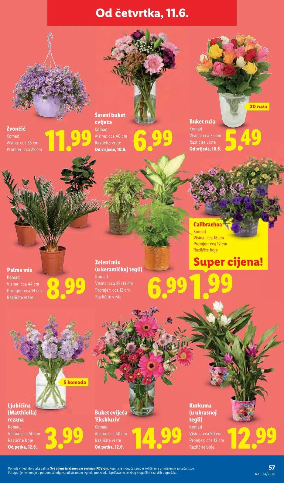 Katalog  LIDL od 8. lipnja do 14. lipnja 2026. - Pregled Stranica 57