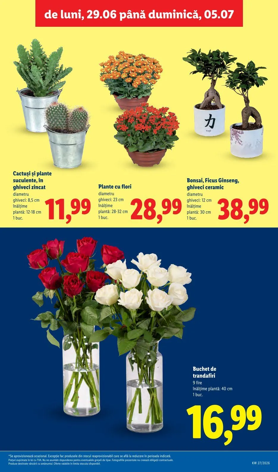 Catalog Oferte de neratat Lidl de la 29 iunie până la 5 iulie 2026 - Revista Pagina 57