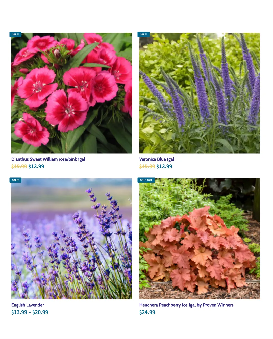 Terra Green Houses Sales from June 25 to July 8 2026 - flyer page 5