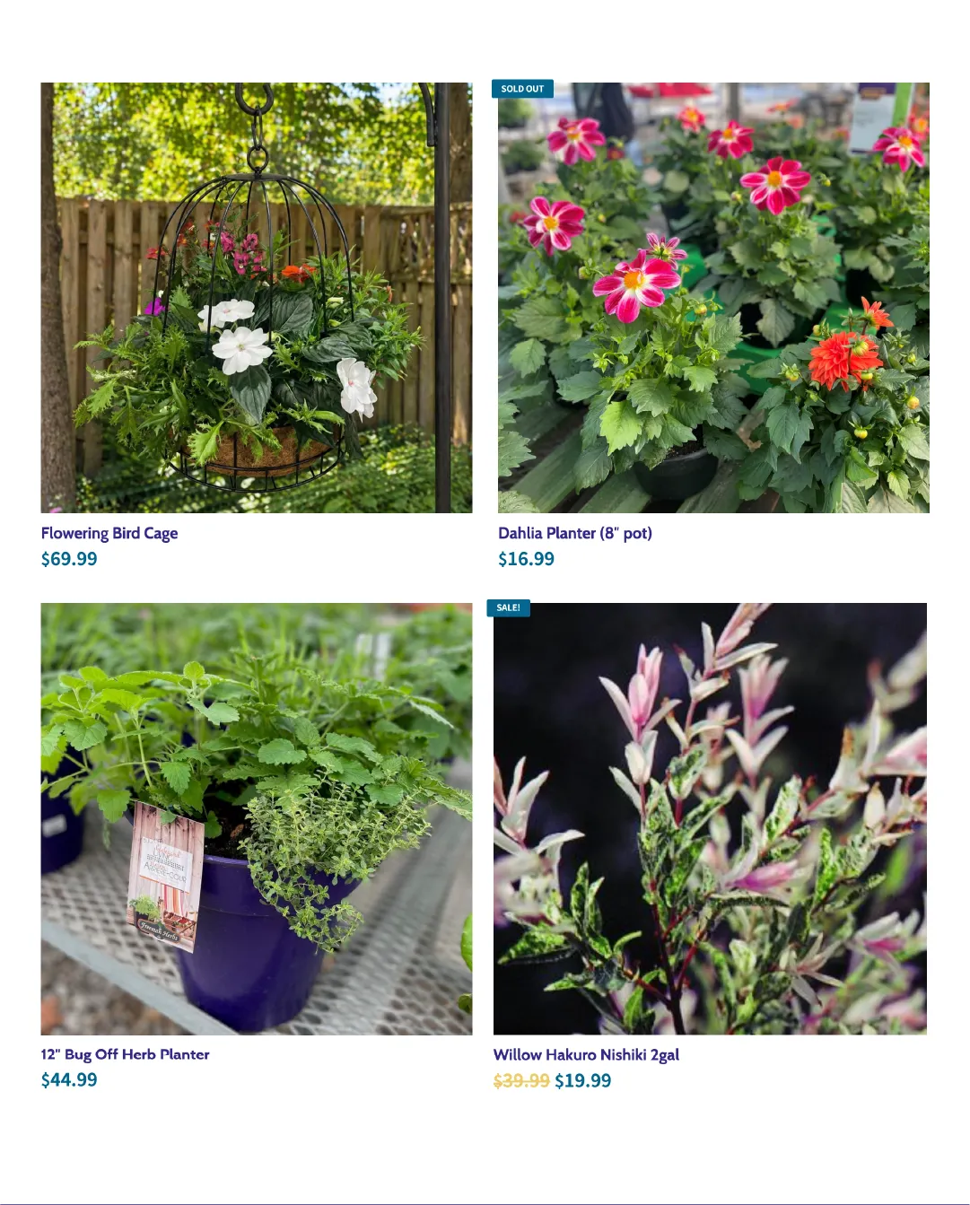  Terra Green Houses Sales from May 28 to June 11 2026 - flyer page 5