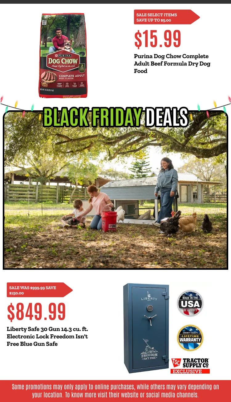 Weekly ad BLACK FRIDAY DEALS from November 21 to November 30 2025 - Page 5