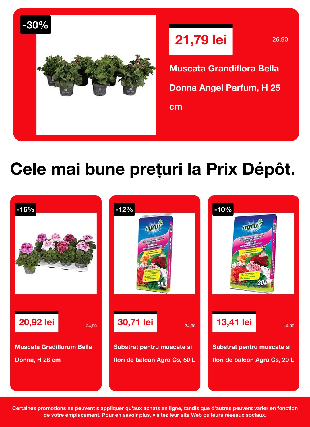 Catalog  Brico Depot de la 16 aprilie până la 6 mai 2026 - Revista Pagina 6