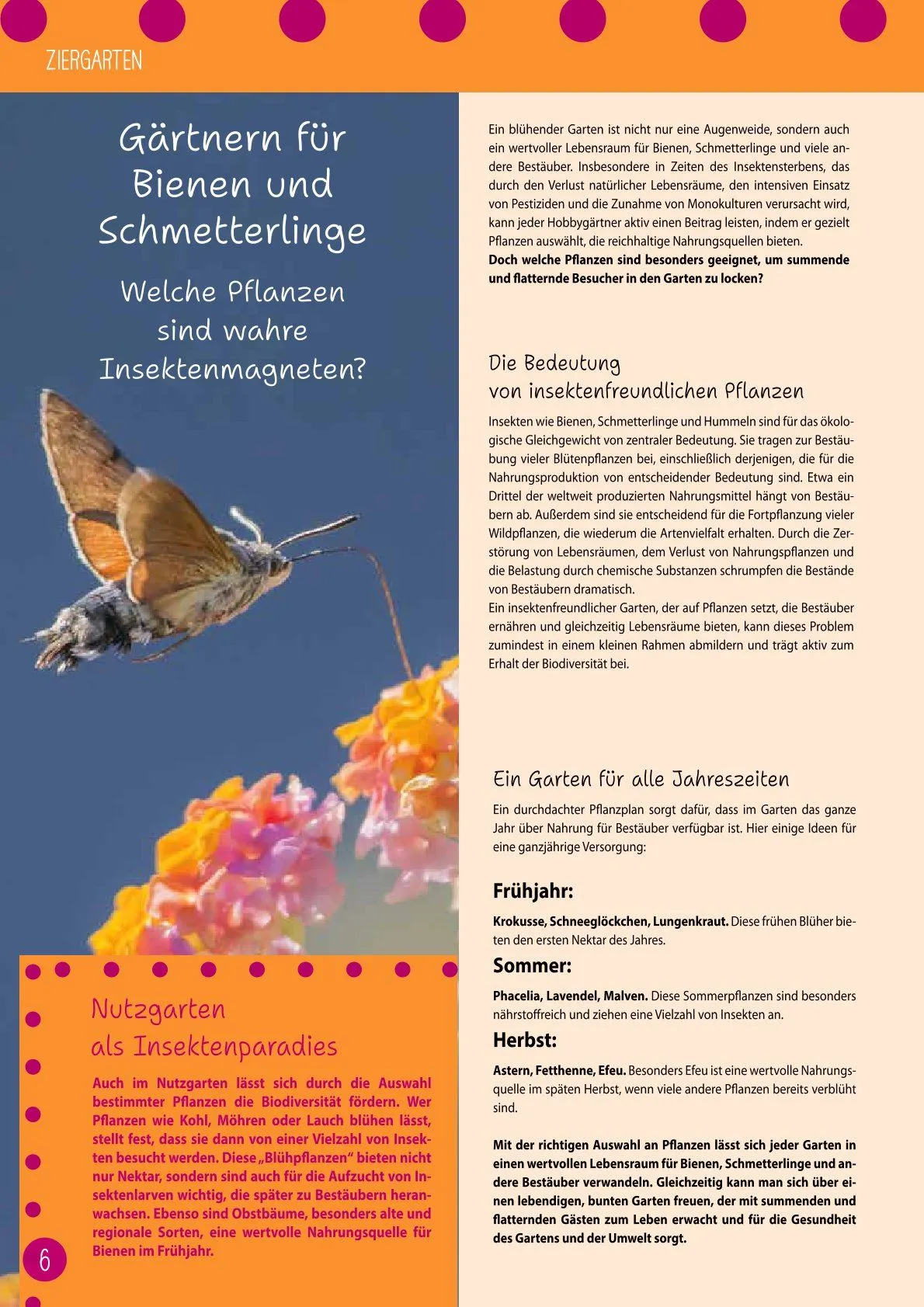 Kiebitzmarkt Magazine von 21. Februar bis 15. Februar 2025 - Prospekt seite 6