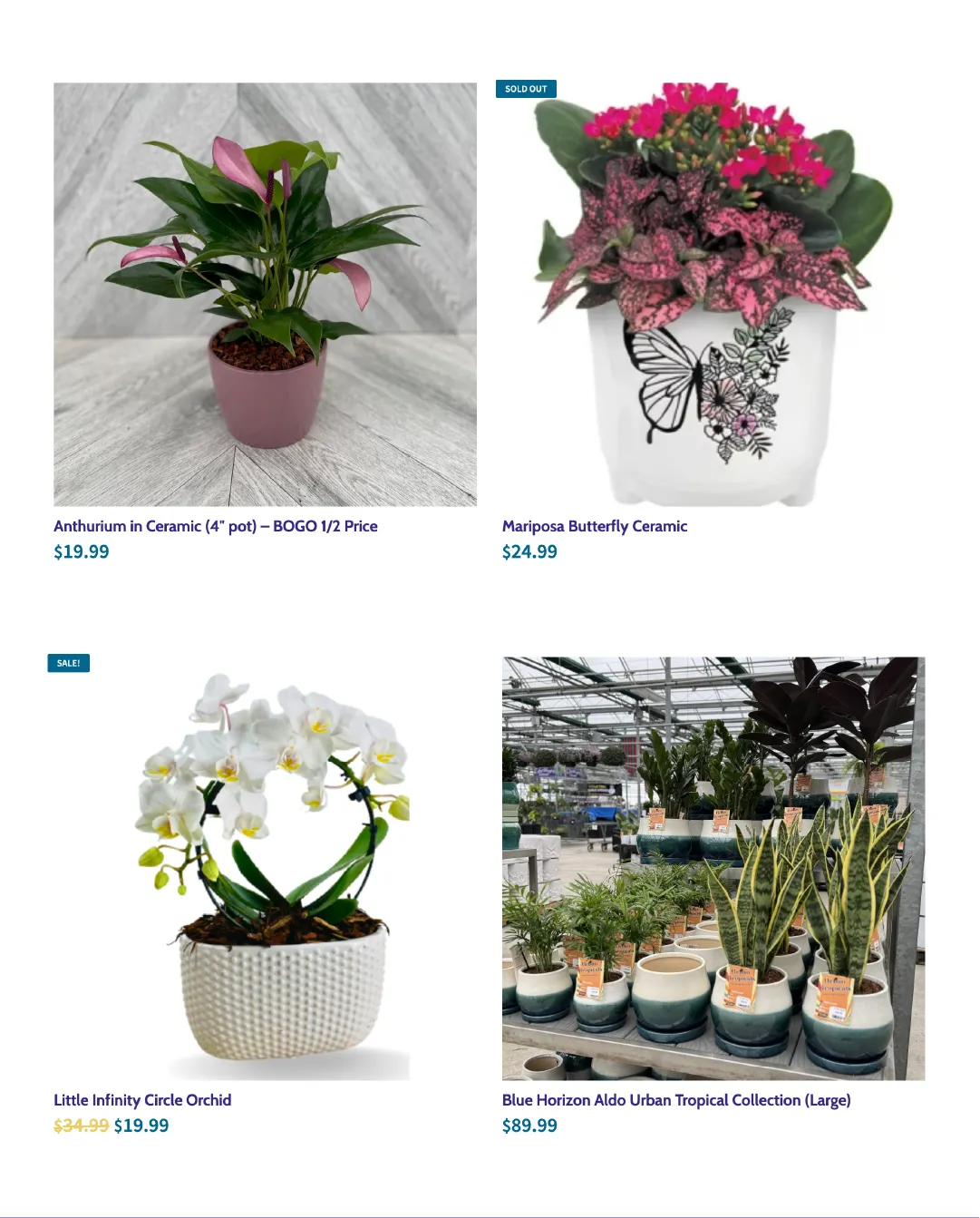 Terra Green Houses Sales from June 12 to June 26 2026 - flyer page 5