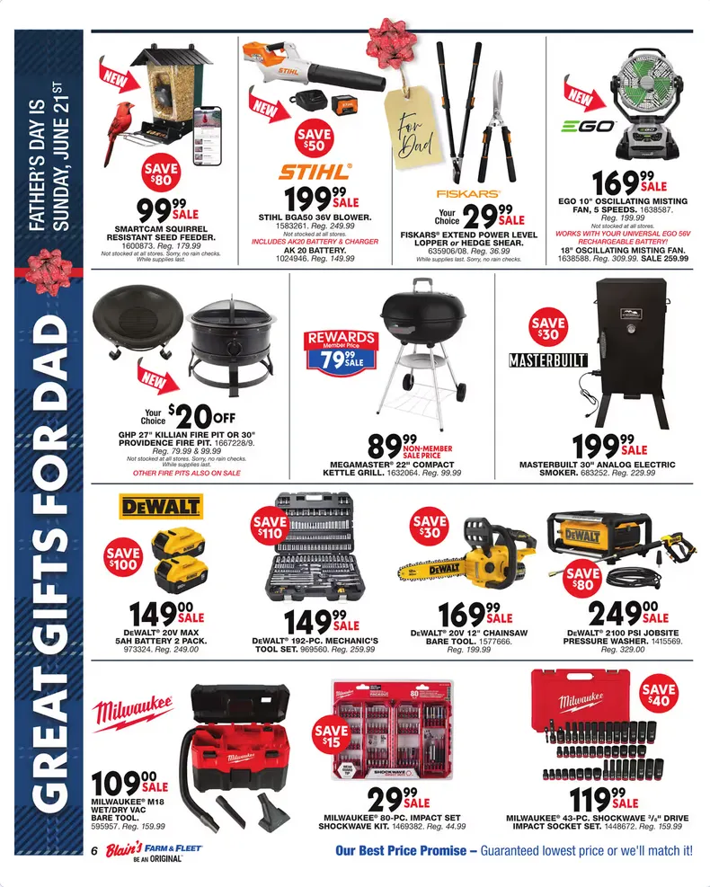 Weekly ad Blain's Farm & Fleet from June 4 to June 14 2026 - Page 6