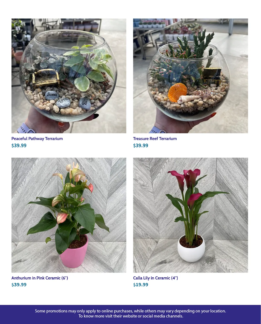 Flyer from October 28 to November 13 2025 - flyer page 5