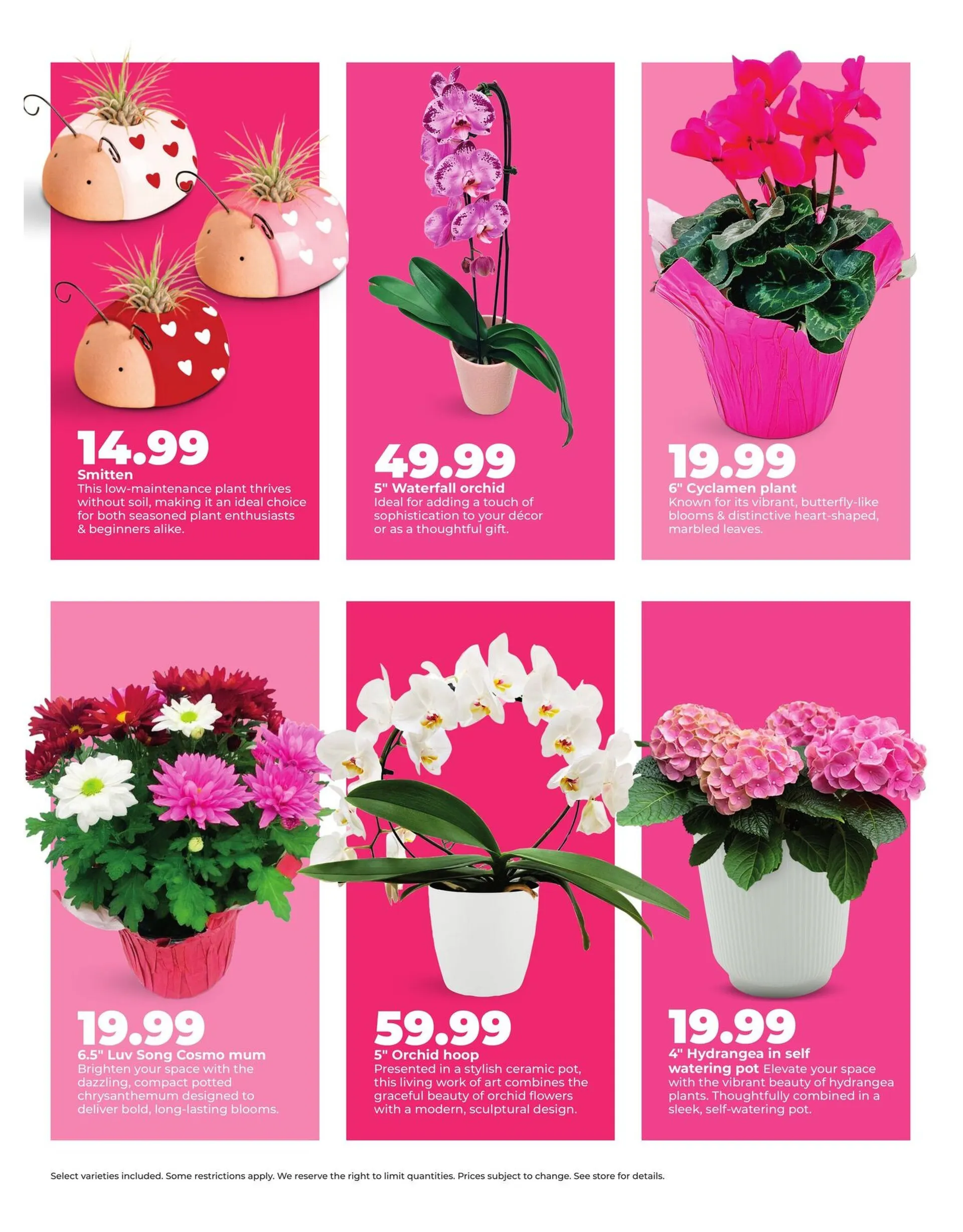 Weekly ad HyVee Sales from February 2 to February 15 2026 - Page 6