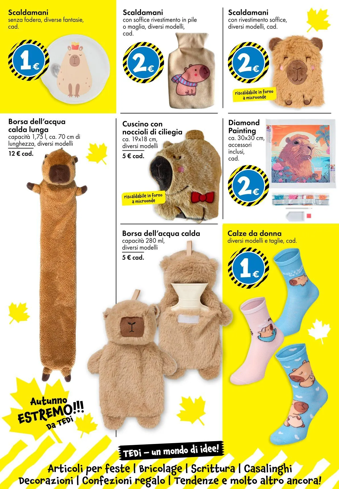Volantini Tedi da 10 ottobre a 22 ottobre di 2025 - Pagina del volantino 6