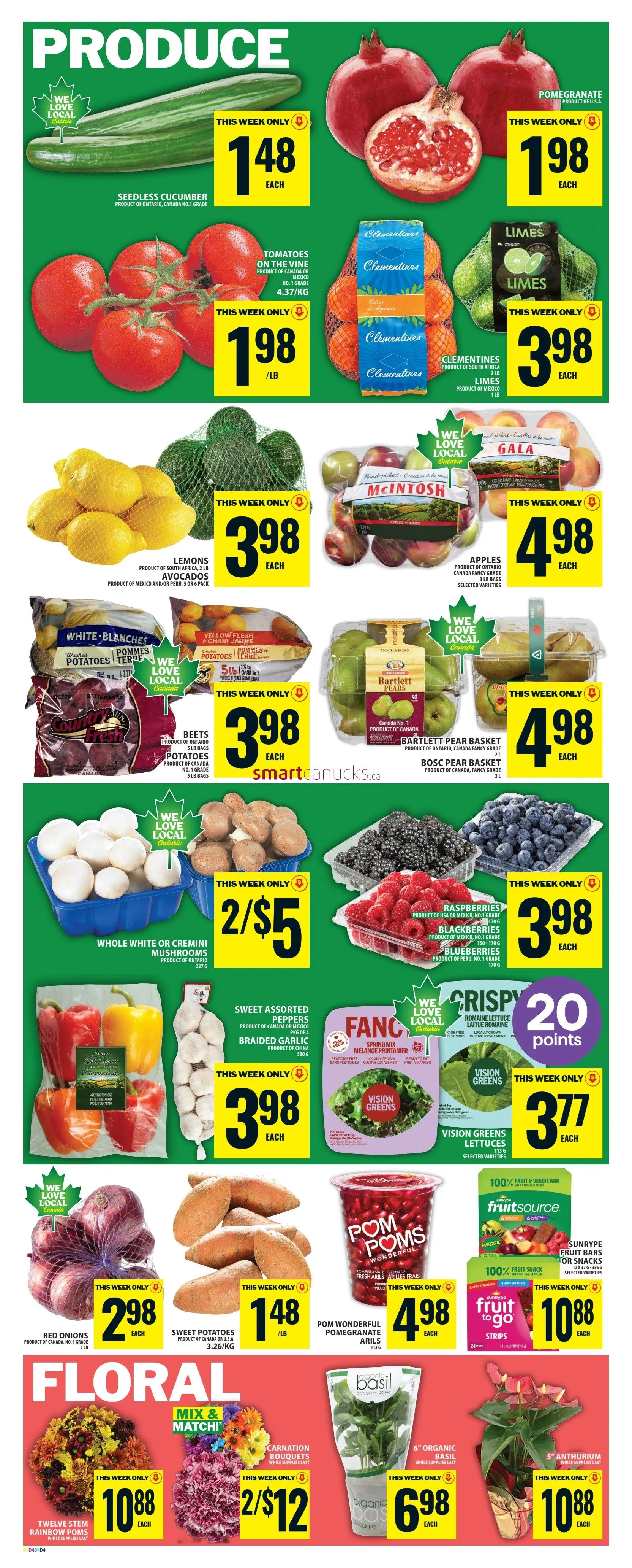 Food Basics Sales from November 13 to November 19 2025 - flyer page 6