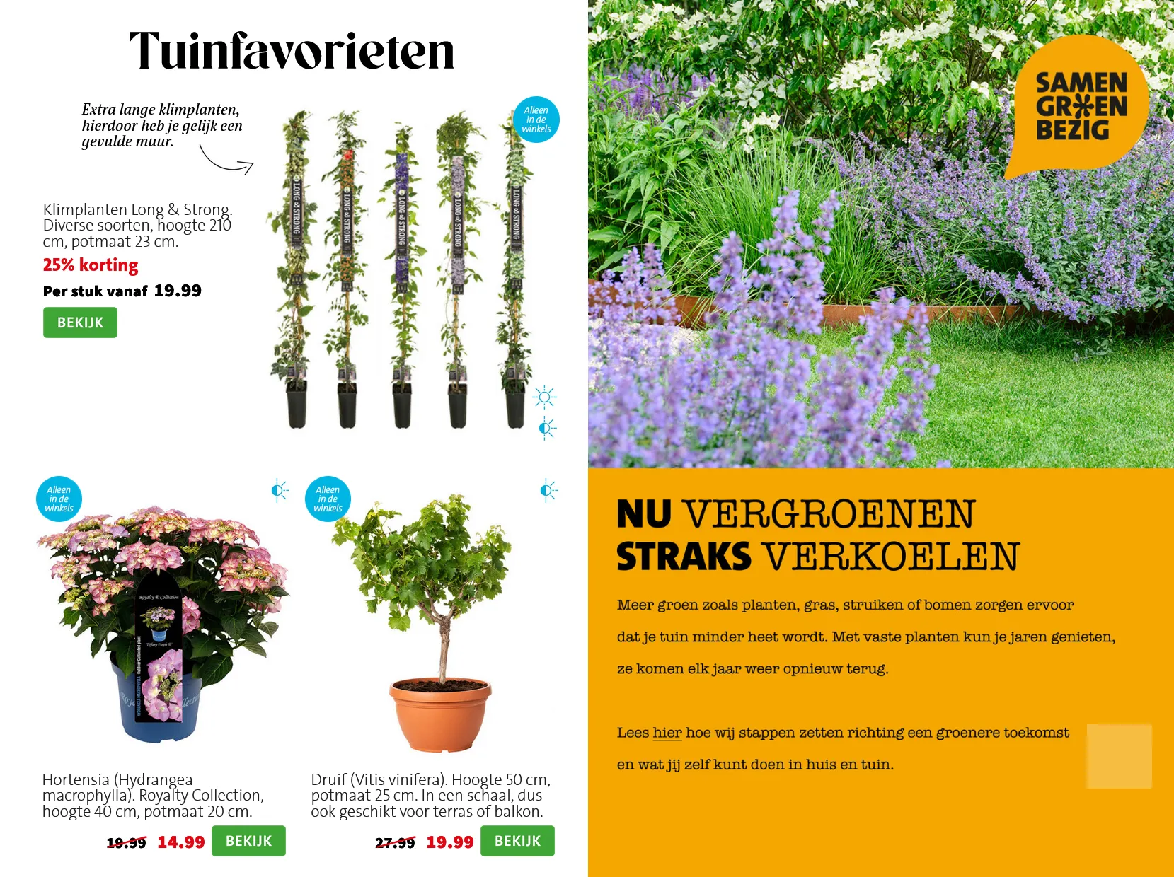 Intratuin folders van 25 mei tot 31 mei 2026 - Folder pagina 6